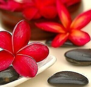 China Health massage Reading