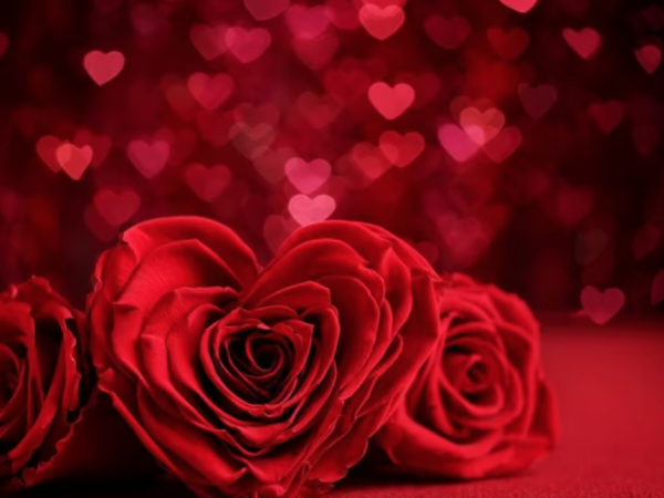 Best Indian and Multinational Massage Therapy in Ealing Broadway London